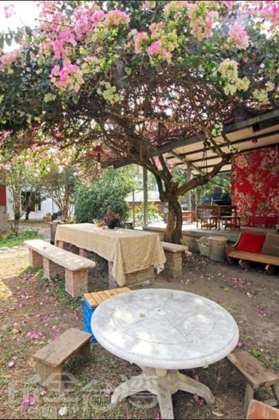 Dongguang Zhixing Homestay Yuchi Luaran gambar